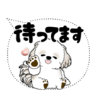 シーズー犬 2025 「大き目文字・吹き出し」（個別スタンプ：34）