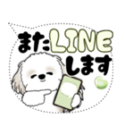 シーズー犬 2025 「大き目文字・吹き出し」（個別スタンプ：35）