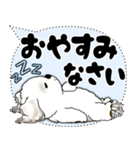 シーズー犬 2025 「大き目文字・吹き出し」（個別スタンプ：40）