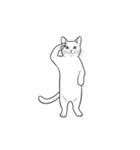 【敬礼猫⑦】（個別スタンプ：1）