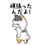 弱音と応援（三毛猫）（個別スタンプ：8）