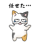 弱音と応援（三毛猫）（個別スタンプ：19）