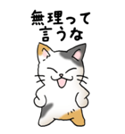 弱音と応援（三毛猫）（個別スタンプ：21）