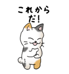 弱音と応援（三毛猫）（個別スタンプ：23）