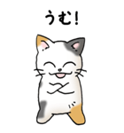 弱音と応援（三毛猫）（個別スタンプ：24）