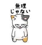 弱音と応援（三毛猫）（個別スタンプ：27）