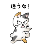 弱音と応援（三毛猫）（個別スタンプ：30）