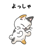 弱音と応援（三毛猫）（個別スタンプ：36）