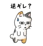弱音と応援（三毛猫）（個別スタンプ：37）