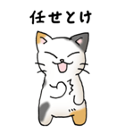 弱音と応援（三毛猫）（個別スタンプ：39）