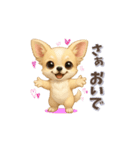 チワワさんの可愛いスタンプ（個別スタンプ：12）