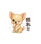 チワワさんの可愛いスタンプ（個別スタンプ：13）