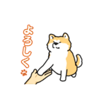 いろんなお手（わんこシリーズ）（個別スタンプ：1）