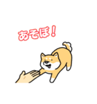 いろんなお手（わんこシリーズ）（個別スタンプ：3）