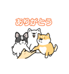いろんなお手（わんこシリーズ）（個別スタンプ：5）