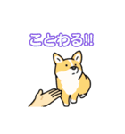 いろんなお手（わんこシリーズ）（個別スタンプ：6）