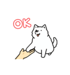 いろんなお手（わんこシリーズ）（個別スタンプ：10）