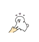 いろんなお手（わんこシリーズ）（個別スタンプ：11）