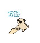 いろんなお手（わんこシリーズ）（個別スタンプ：12）