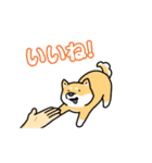 いろんなお手（わんこシリーズ）（個別スタンプ：13）