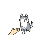 いろんなお手（わんこシリーズ）（個別スタンプ：14）