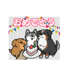 いろんなお手（わんこシリーズ）（個別スタンプ：17）