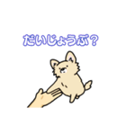 いろんなお手（わんこシリーズ）（個別スタンプ：19）