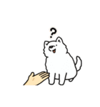 いろんなお手（わんこシリーズ）（個別スタンプ：20）