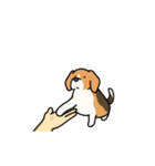 いろんなお手（わんこシリーズ）（個別スタンプ：23）