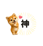 毎日使える♡動く！豆柴（個別スタンプ：19）