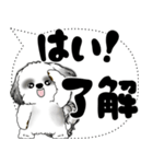 B＆W シーズー犬「大き目文字・吹き出し」（個別スタンプ：3）