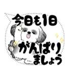 B＆W シーズー犬「大き目文字・吹き出し」（個別スタンプ：5）