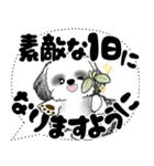B＆W シーズー犬「大き目文字・吹き出し」（個別スタンプ：6）