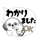 B＆W シーズー犬「大き目文字・吹き出し」（個別スタンプ：7）