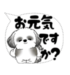 B＆W シーズー犬「大き目文字・吹き出し」（個別スタンプ：9）