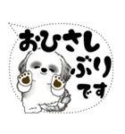 B＆W シーズー犬「大き目文字・吹き出し」（個別スタンプ：10）