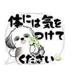 B＆W シーズー犬「大き目文字・吹き出し」（個別スタンプ：14）