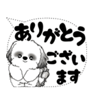 B＆W シーズー犬「大き目文字・吹き出し」（個別スタンプ：15）