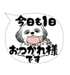 B＆W シーズー犬「大き目文字・吹き出し」（個別スタンプ：18）