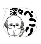 B＆W シーズー犬「大き目文字・吹き出し」（個別スタンプ：19）