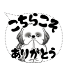B＆W シーズー犬「大き目文字・吹き出し」（個別スタンプ：20）