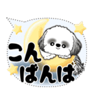 B＆W シーズー犬「大き目文字・吹き出し」（個別スタンプ：21）