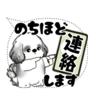 B＆W シーズー犬「大き目文字・吹き出し」（個別スタンプ：22）