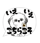 B＆W シーズー犬「大き目文字・吹き出し」（個別スタンプ：24）