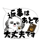 B＆W シーズー犬「大き目文字・吹き出し」（個別スタンプ：25）