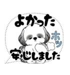 B＆W シーズー犬「大き目文字・吹き出し」（個別スタンプ：30）