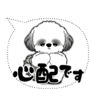 B＆W シーズー犬「大き目文字・吹き出し」（個別スタンプ：31）