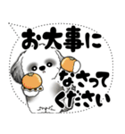 B＆W シーズー犬「大き目文字・吹き出し」（個別スタンプ：32）