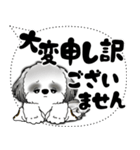 B＆W シーズー犬「大き目文字・吹き出し」（個別スタンプ：37）