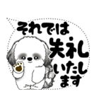 B＆W シーズー犬「大き目文字・吹き出し」（個別スタンプ：39）